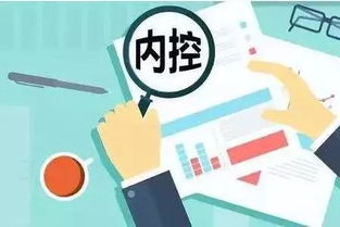 企业如何建立有效的内部控制制度 理论与实务指导